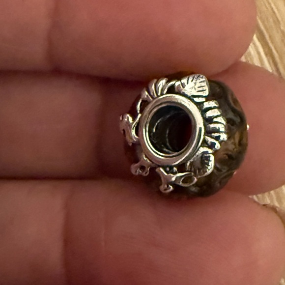 Pandora Silver and Brown Disney Charm - Picture 2 of 9